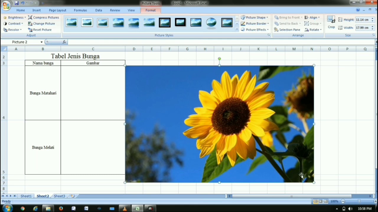Tugas teknologi informasi tutorial menggunakan excel youtube