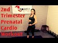 20 Minute 2nd Trimester Prenatal Cardio Workout-- (but good for ALL Trimesters of Pregnancy!)