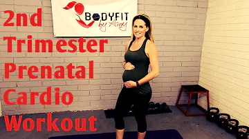 20 Minute 2nd Trimester Prenatal Cardio Workout-- (but good for ALL Trimesters of Pregnancy!)
