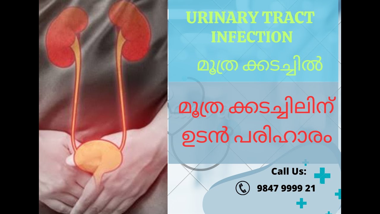 മൂത്രത്തിലെ അണുബാധ എങ്ങനെ ഒഴിവാക്കാം Home remedy for UTI by Ayus Care