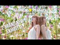 teamLab Planets Tokyo introduces 2 new exhibits! | Floating Flower Garden & Moss Garden | Full tour