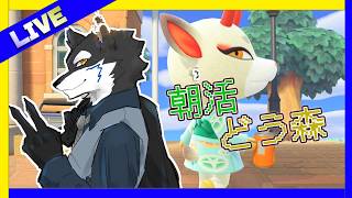 【どうぶつの森】part14  ハッピーホームなんちょけが楽しい!! Live配信  #どうぶつの森 #あつ森 #朝活