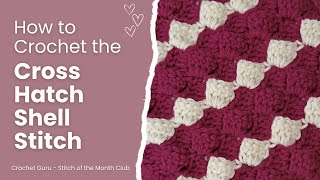 Crochet Cross Hatch Shell Stitch Tutorial | Stitch of the Month Club 🧶 @CrochetGuru
