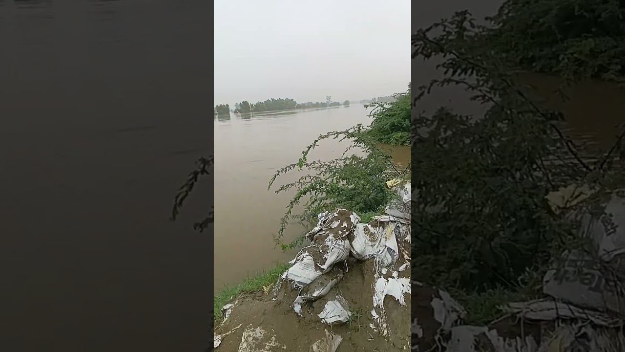 NDRF rescue team flood effected area 