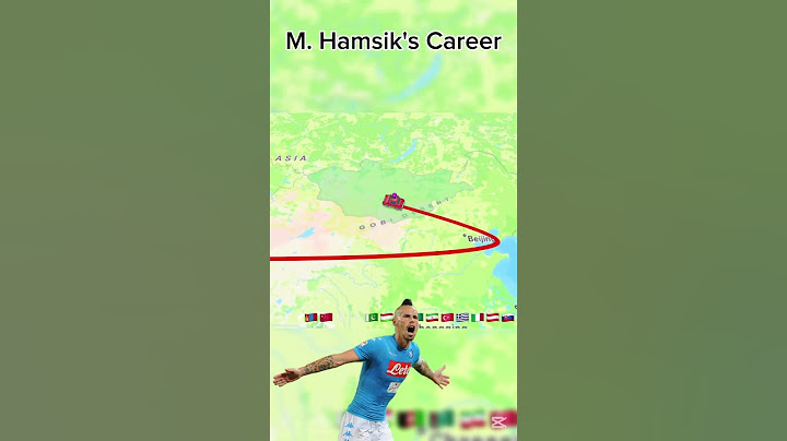 M. Hamsik's Career#hamsik #soccer #career #football