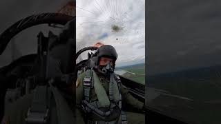 Direct Head-On Impact | #aviation #bird #birdingparadise #birdspecies #dcsworld #largebird #military