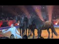 Alex giona dressage in libert  clown dargent au festival du cirque de montecarlo 2023