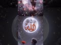 #Islamic video#Instagram status#Is💘💘💘lamic video viral kaise karen Islamic naat