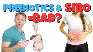 Should I Avoid Prebiotics With SIBO