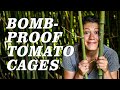 Storebought Tomato Cages Don't Work, make free cages instead // Homesteading