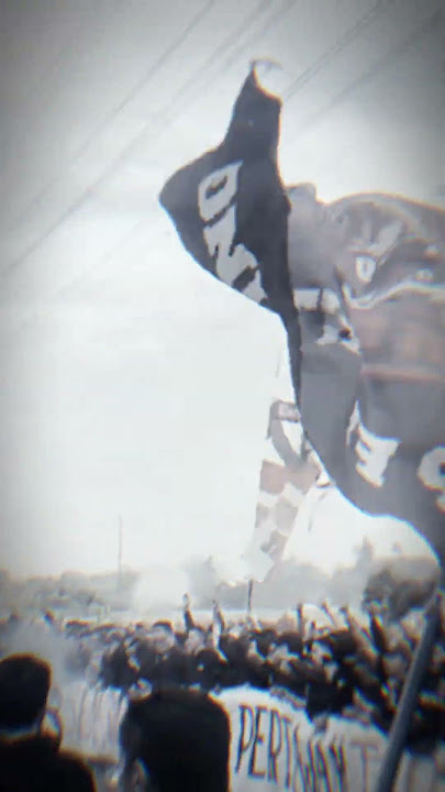 tetap PERSIJA #jakmania #persija #videoshort #persijaday