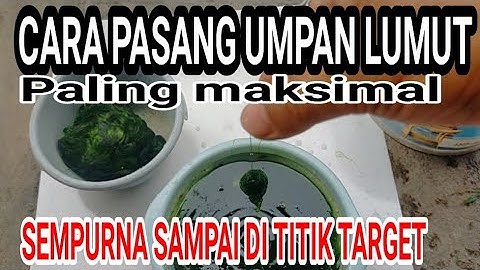 Cara memasang lumut di kail praktis maksimal / how to install moss.. Memasang umpan lumut