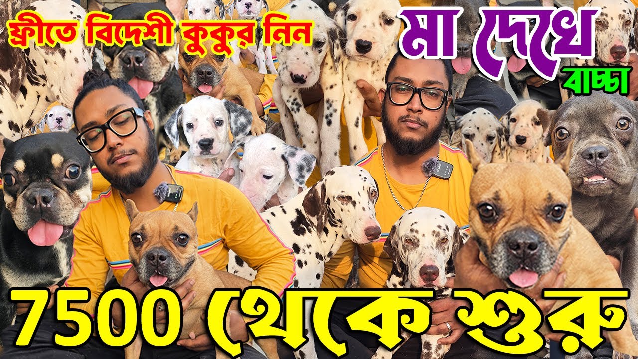 Biggest Dog Kennel in West Bengal । Home Breed Puppies Sell । Dog Market in Kolkata