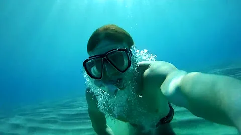 Каменные и песочные крабы Средиземного моря
