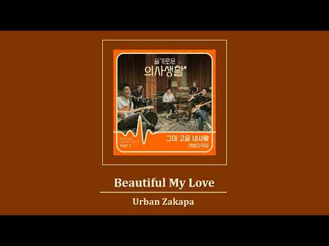 [Vietsub] Beautiful My Love (그대 고운 내 사랑) - Urban Zakapa (어반자카파)