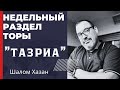 Недельный раздел Торы "Тазриа"