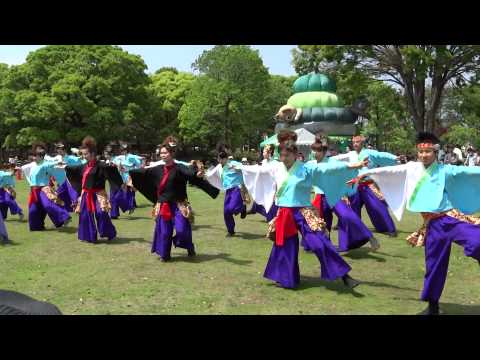 信州駒ヶ根　縁舞蓮／芝生流し会場／あっぱれ富士2015
