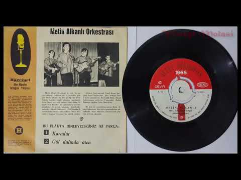 Metin Alkanlı Orkestrası - Gül Dalında Öten  | 1965 Altın Mikrofon Yarışması (Analog Plak Kaydı)
