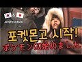 국제커플 日韓カップル [vlog] 영화데이트#2 포켓몬고 시작했다! /映画デート2♡ ポケモンGO始めました 日本語字幕