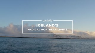 Experience Iceland's Magical Northern Lights