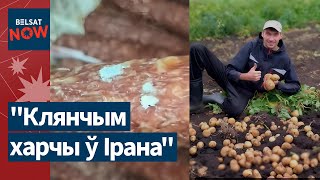видео: Колбаса с плесенью в магазинах Минска. Сбор детей в школу: родители в шоке! Картошка теперь из Ирана картинка: Колбаса с плесенью в магазинах Минска. Сбор детей в школу: родители в шоке! Картошка теперь из Ирана