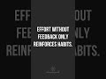 Practice rewards effort, not improvement
