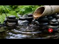 Relaxing Piano Music & Water Sounds 24/7 - Ideal for Stress Relief and Healing