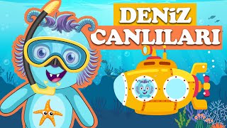 Spinky Ile Eğlenceli Denizaltı Macerası 🤿