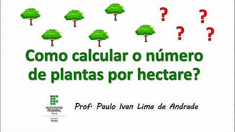 Quantos pés de milho por hectare?