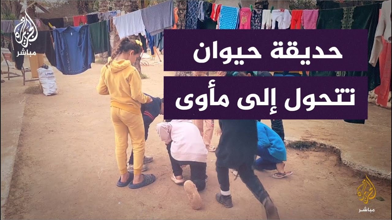 بين القرود والأسود.. نازحون فلسطينيون ينصبون خياما بلاستيكية في حديقة حيوان رفح