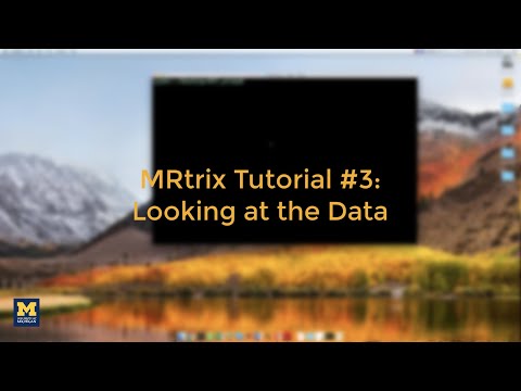 MRtrix Tutorial #3: Looking at the Data