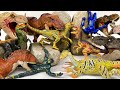 D-REX Vs INDOMINUS Vs T-REX Vs SPINOSAURUS, MOSASAURUS🦖 Jurassic World Rebirth | Dinosaur Toy Review