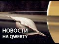 Космические пельмени и регенерация нейронов. Новости на QWERTY