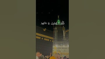 آيات تريح القلب #القرآن_الكريم #اكسبلور #ايات_قرانيه_قصيره #ارح_قلبك #تصويري   #المدينة_المنورة