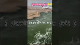 Inilah 2 Air Laut Yang Tidak Menyatu Yang Dijelaskan Di Dalam Al - Quran Resimi