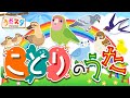 童謡・唱歌 「ことりのうた」 covered by うたスタ|video by うたスタ|赤ちゃん泣き止む|赤ちゃんが喜ぶうた|童謡|こどものうた|てあそび|ダンス|振り付き|知育アニメ|