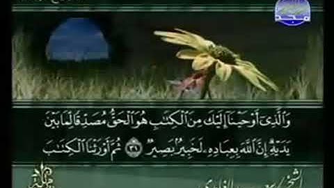 سورة فاطر  من الآية 31 الى الآية 45