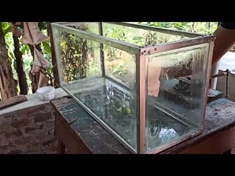 Vidéo: Aquarium En écailles En Aluminium