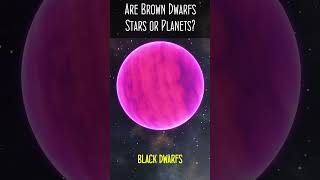 Are Brown Dwarfs Stars or Planets?