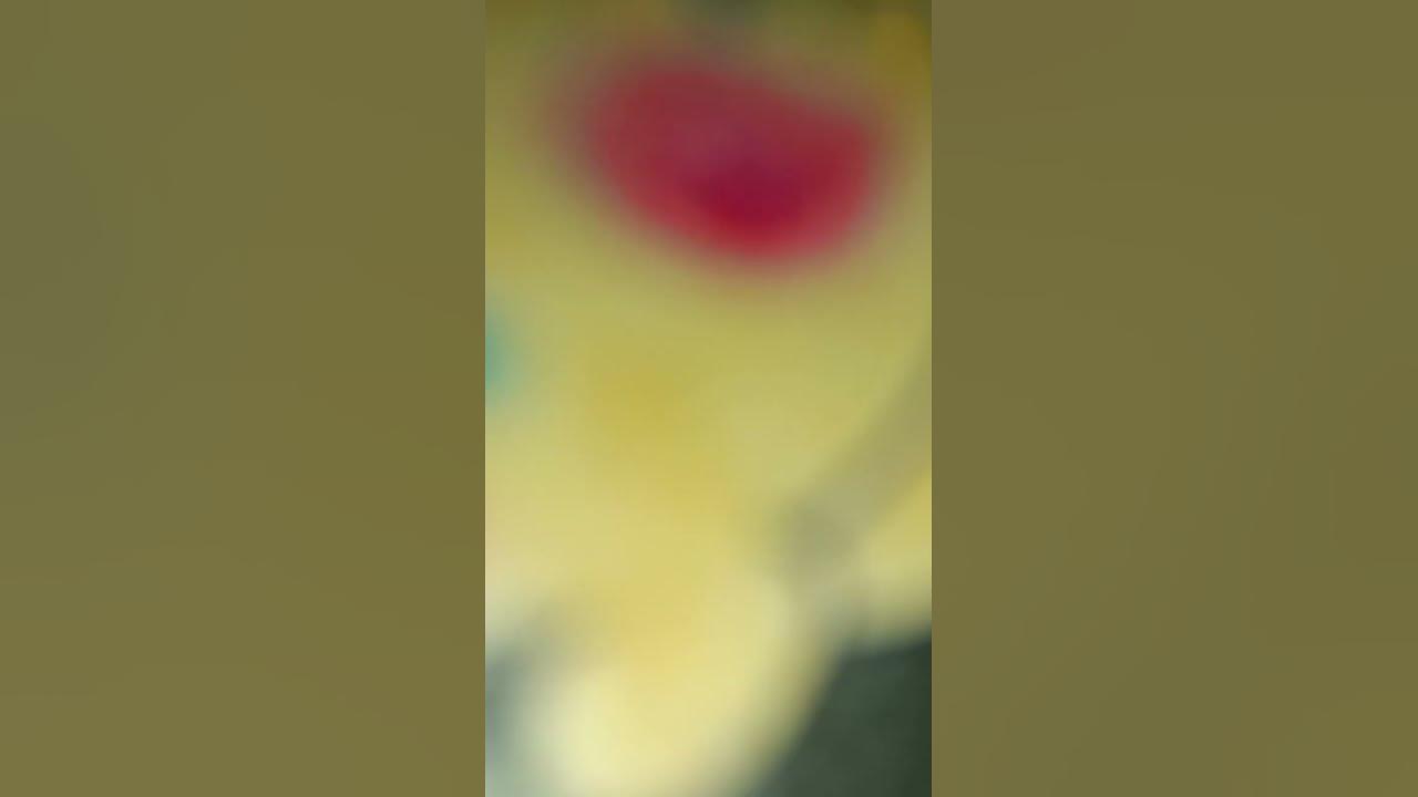 chota bheem holi hai