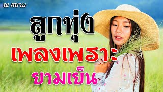 ลูกทุ่งเพลงเพราะยามเย็น ชุดที่ 7 | รวมศิลปิน