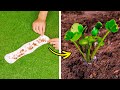 🌻 حيل نمو الحديقة: طرق ذكية لزراعة مساحتك الخضراء