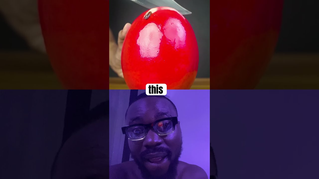  Helpmemakethismakesense Smartphone Funny Dothingsyoudontwanttodo Theothersideofmakebelieve