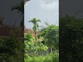 វត្តពោធិ៍៥០០០ដេីម ទីតាំងសុវត្ថិភាព 25.06.2025