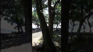 Frente a la PLAYA GRANDE en PUCÓN, REGIÓN DE LA ARAUCANÍA