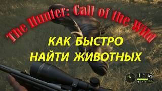 Симулятор охоты The Hunter: Call of the Wild Как быстро найти животных Симулятор охоты The Hunter: Call of the Wild Как быстро найти животных