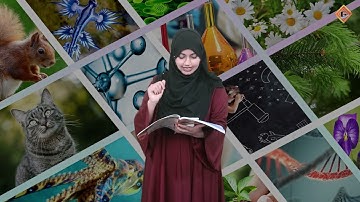 Gohar Science 5|Unit 9|Lec 6|Assessment