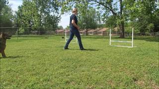 Chief Agility 2 4 13 17 push and pull