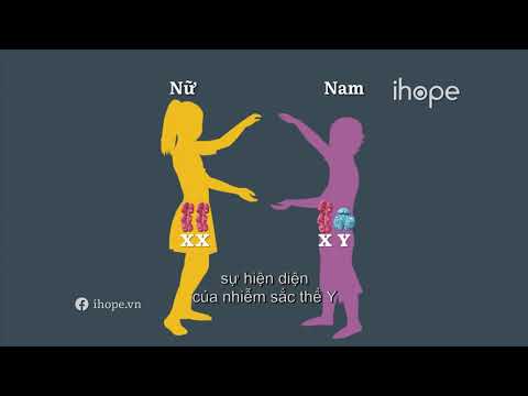 Video: Nhân giống bầu nam và nữ: Cách xác định giới tính