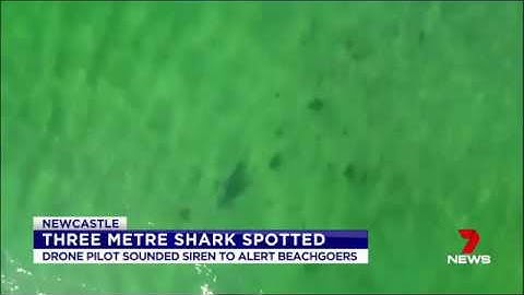 Hover UAV Shark Drone Patrols
